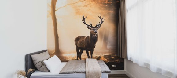 3 غرف نوم شقة في Pforzheim, Germany رقم 277145 18