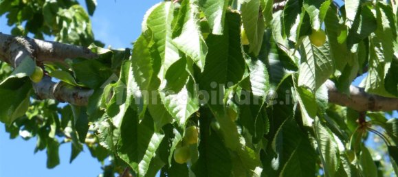 5 rooms Apartment in Bisignano, Italy No. 143860 8