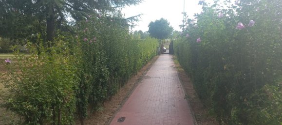 4 غرف نوم شقة في Florence, Italy رقم 337002 50