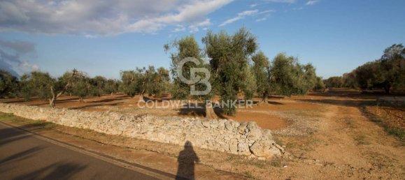 Grundstück in San Vito dei Normanni, Italy 26250m², Nr. 63574 7