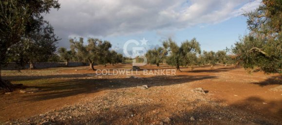 Grundstück in San Vito dei Normanni, Italy 26250m², Nr. 63574 3