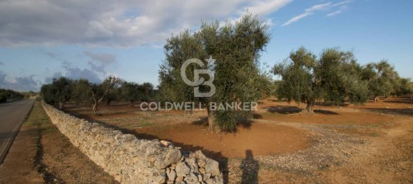 Grundstück in San Vito dei Normanni, Italy 26250m², Nr. 63574 10