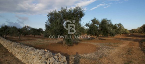 Grundstück in San Vito dei Normanni, Italy 26250m², Nr. 63574 2