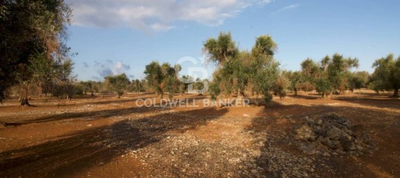 Grundstück in San Vito dei Normanni, Italy 26250m², Nr. 63574 11