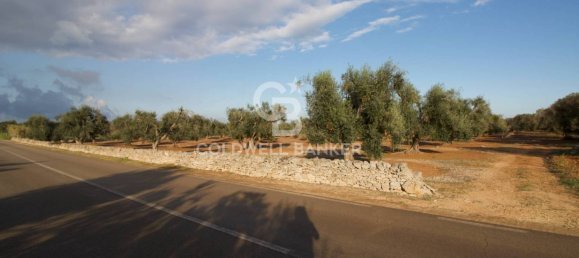 Grundstück in San Vito dei Normanni, Italy 26250m², Nr. 63574 9