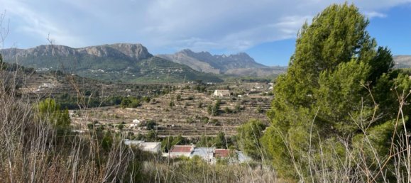 1000m² Land in Calpe, Spain No. 94661 9