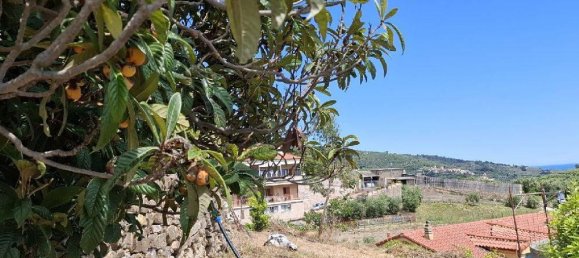 1 room Land in Castellaro, Italy No. 31714 7