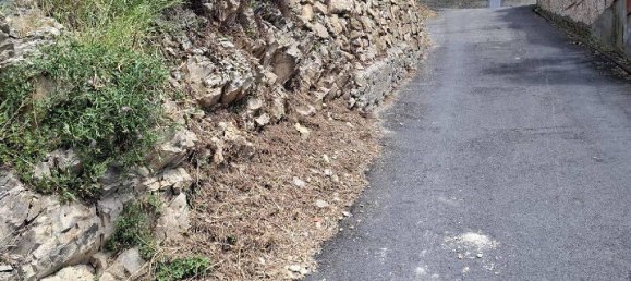 1 room Land in Castellaro, Italy No. 31714 10