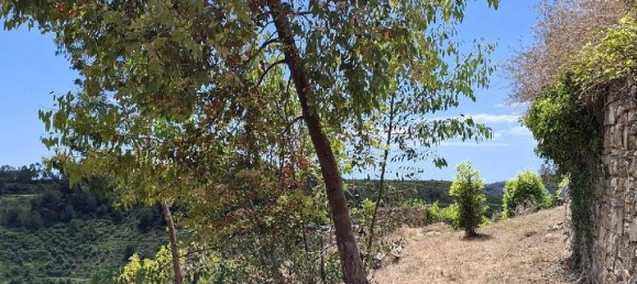 1 room Land in Castellaro, Italy No. 31714 2