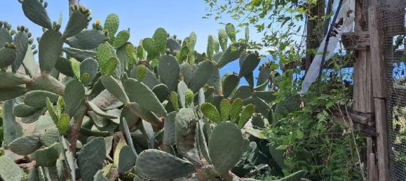 1 room Land in Castellaro, Italy No. 31714 15