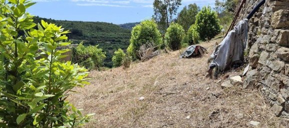 1 room Land in Castellaro, Italy No. 31714 9