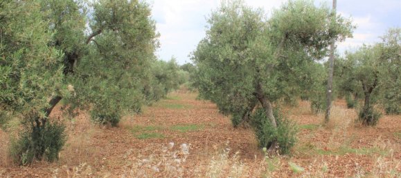 3 bedrooms House in Santeramo in Colle, Italy No. 133639 14