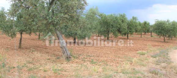 3 bedrooms House in Santeramo in Colle, Italy No. 133639 13