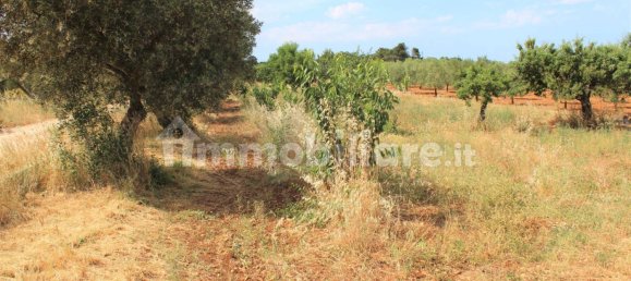 3 bedrooms House in Santeramo in Colle, Italy No. 133639 12