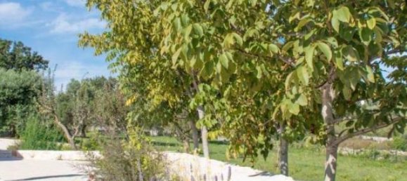 4 rooms House in Locorotondo, Italy No. 162174 11