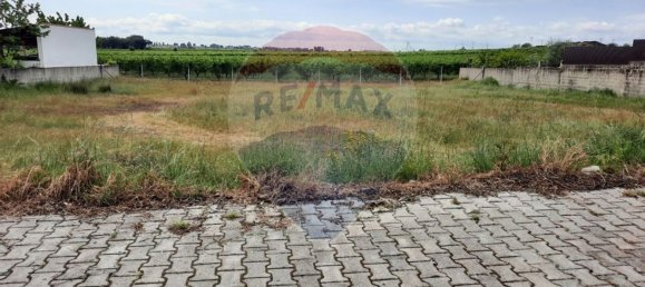 576m² Land in Lardosa, Portugal No. 72919 4