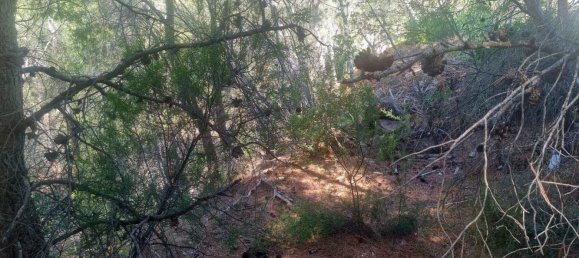 terreno en venta en Galera de las Palmeras, Alicante, Comunidad Valenciana, Spain № 365526 10