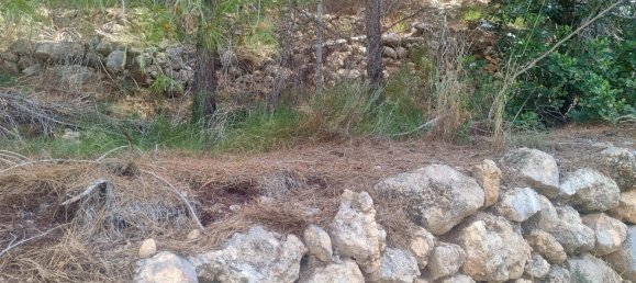 terreno en venta en Galera de las Palmeras, Alicante, Comunidad Valenciana, Spain № 365526 9