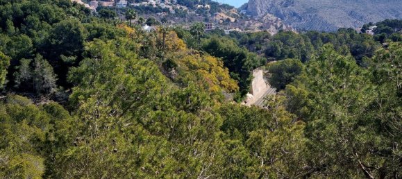 terreno en venta en Galera de las Palmeras, Alicante, Comunidad Valenciana, Spain № 365526 15