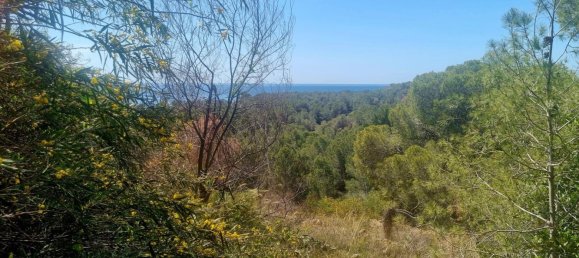 terreno en venta en Galera de las Palmeras, Alicante, Comunidad Valenciana, Spain № 365526 6