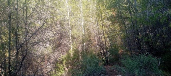 terreno en venta en Galera de las Palmeras, Alicante, Comunidad Valenciana, Spain № 365526 17