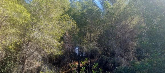 terreno en venta en Galera de las Palmeras, Alicante, Comunidad Valenciana, Spain № 365526 7
