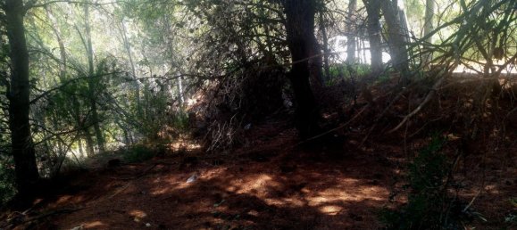 terreno en venta en Galera de las Palmeras, Alicante, Comunidad Valenciana, Spain № 365526 11