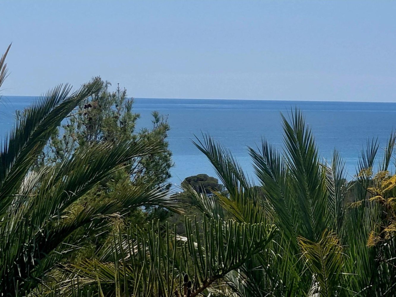 terreno en venta en Galera de las Palmeras, Alicante, Comunidad Valenciana, Spain № 365526