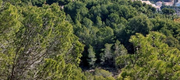 terreno en venta en Galera de las Palmeras, Alicante, Comunidad Valenciana, Spain № 365526 16