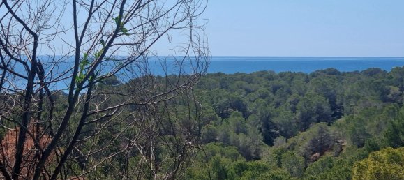terreno en venta en Galera de las Palmeras, Alicante, Comunidad Valenciana, Spain № 365526 5