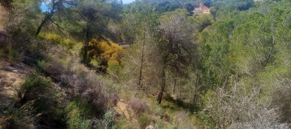 terreno en venta en Galera de las Palmeras, Alicante, Comunidad Valenciana, Spain № 365526 13