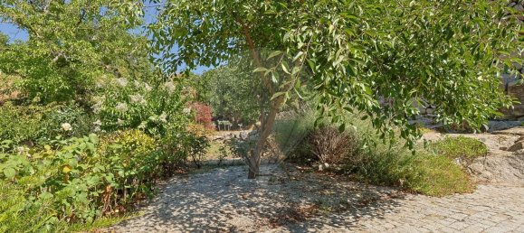 4 غرف نوم منزل في Vila Flor, Portugal رقم 175131 33