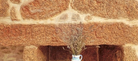 4 غرف نوم منزل في Vila Flor, Portugal رقم 175131 5