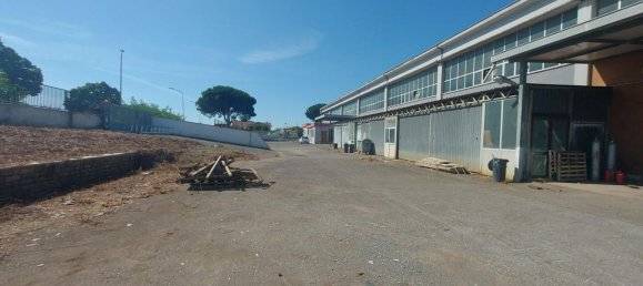 20-salle Propriété commerciale à Pomezia, Italy No. 179744 3