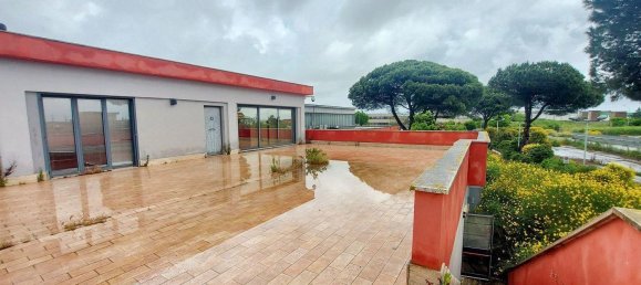 20-salle Propriété commerciale à Pomezia, Italy No. 179744 26