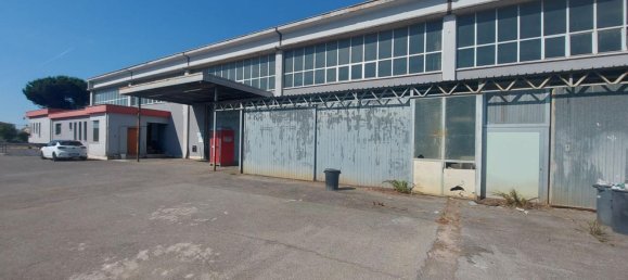 20-salle Propriété commerciale à Pomezia, Italy No. 179744 6