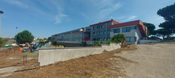 20-salle Propriété commerciale à Pomezia, Italy No. 179744 24