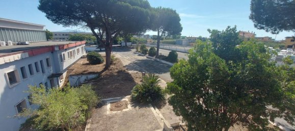 20-salle Propriété commerciale à Pomezia, Italy No. 179744 2