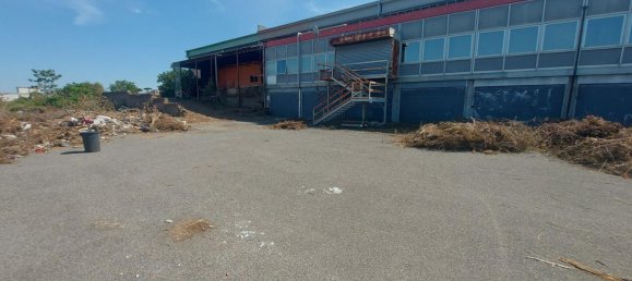 20-salle Propriété commerciale à Pomezia, Italy No. 179744 20