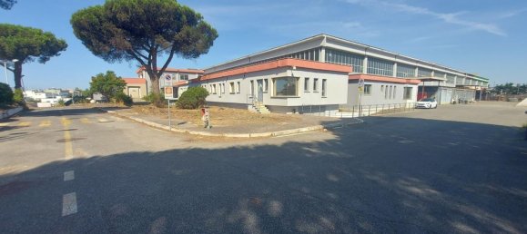 20-salle Propriété commerciale à Pomezia, Italy No. 179744 8