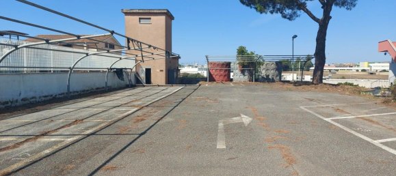 20-salle Propriété commerciale à Pomezia, Italy No. 179744 10