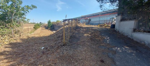 20-salle Propriété commerciale à Pomezia, Italy No. 179744 22