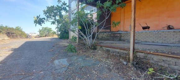 20-salle Propriété commerciale à Pomezia, Italy No. 179744 18