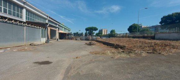 20-salle Propriété commerciale à Pomezia, Italy No. 179744 4