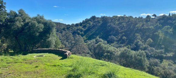 2 bedrooms House in Santa Catarina da Fonte do Bispo, Portugal No. 127932 21