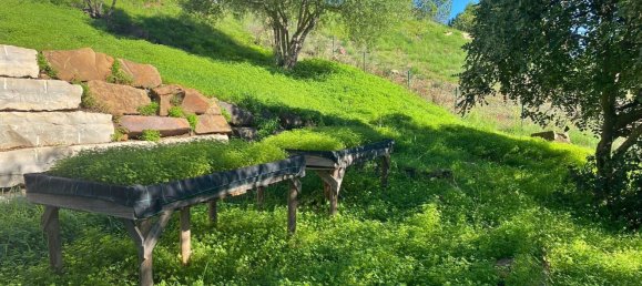 2 bedrooms House in Santa Catarina da Fonte do Bispo, Portugal No. 127932 29