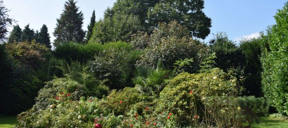 4 Schlafzimmer Haus in Mülheim an der Ruhr, Germany, Nr. 39871 3