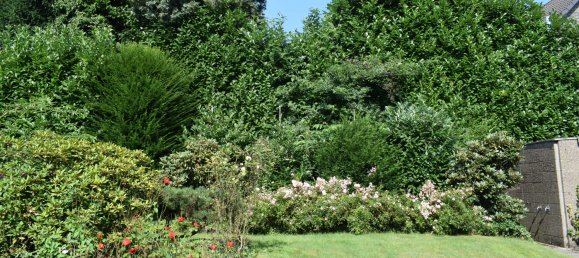 4 Schlafzimmer Haus in Mülheim an der Ruhr, Germany, Nr. 39871 2