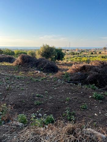  قطعة أرض في Bagheria, Italy 2000متر مربع رقم 258400