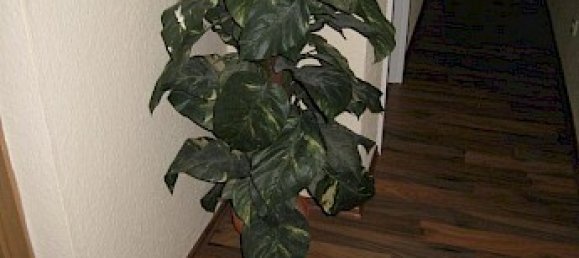 Studio à Plauen, Germany No. 76000 9